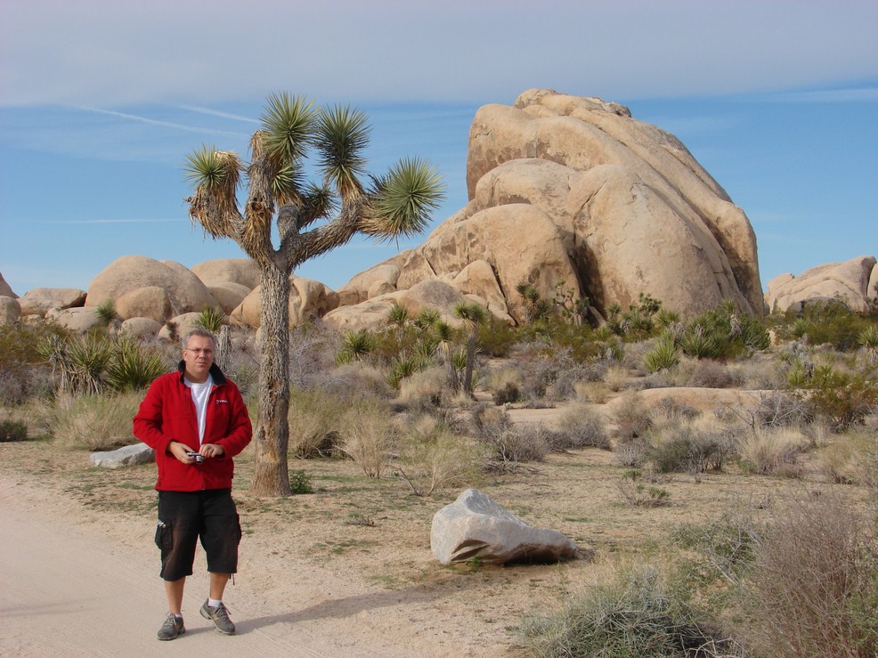 joshua tree (5) (Copier).JPG